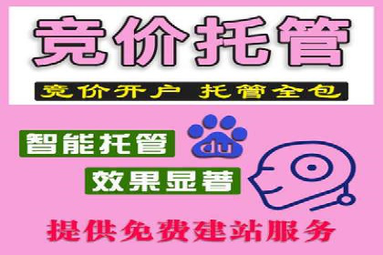 SEM代运营托管公司成功案例分析