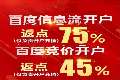 SEM竞价案例：提升搜索引擎排名